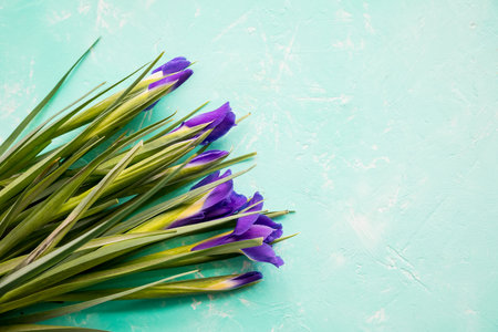 Iris flowers isolated on white.Love. Valentine's day