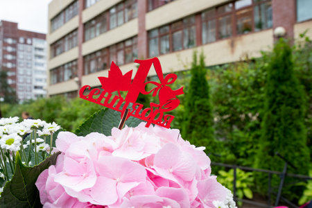 School bouquet with pink hydrangea.1 September, back to school concept .beautiful flowers for teacher with Wooden sign in russian first of Septemberの写真素材