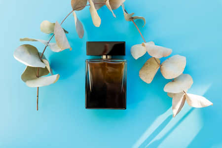 Transparent unisex perfume bottle and eucalyptus leaves on blue background with strong shadows.Perfume bottle or eau de toilette from transparent brown glass.copy spaceの写真素材