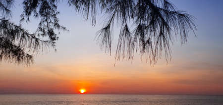 Sunset Beach with palm trees and beautiful sky landscape. Travel, Tourism, vacation concept background. Mexico. Paradise scene of Caribbean Island. Beautiful coconut palms silhouettes over orange sunの写真素材