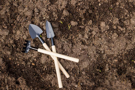Gardening concept. caring for seedlings in the spring and preparation for transplantation.Tools in soil surface . Copy space, top view. Agricultural work. Selective focus.の写真素材