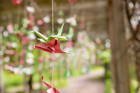 origami crane birds hanging on the threads in the garden oposit the sun.colorful paper cranes on the tree.Wedding decoration. Orizuro,paper birds decoration in japanese gardenの写真素材