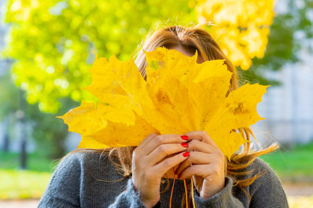 Front middle angle view of unrecognizable woman holding maple tree leaves.view of woman with fallen maple leaves in warm coat outdoors. Nature backgrounds.Hello autumnの写真素材