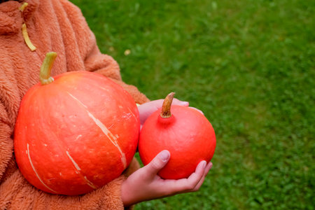 happy little cute girl with painting spider on cheek holding orange pumpkin for jack lantern. smiling kid harvesting in autumn on red background.の写真素材