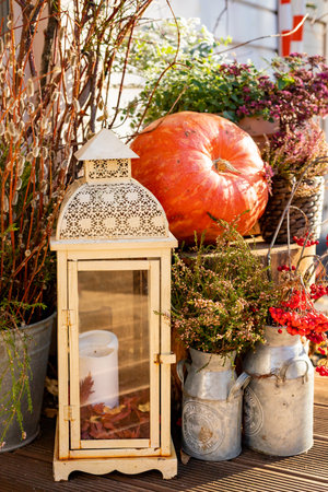 Seasonal home garden autumn decoration with heather, flower pot, pumpkin and lantern with candle...