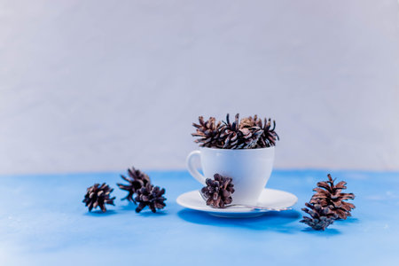 Christmas.dry pine cones in white ceramic cup on white background, composition. Creative flat lay.Minimal nature concept. Holiday season arrangement with copy space.の写真素材
