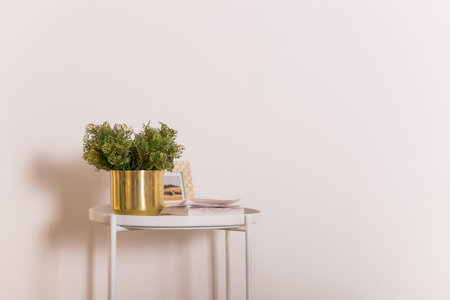 Mini plant and book on white table, copy space, nobody, tree in golden pot for decoration in home,...