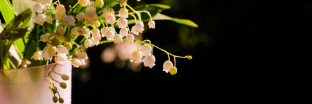 Bouquet of lilies of valley in vase against dark background. Lily of valley. blooming white flowers on sunny day close-up with space for text.Natural floral background. Soft focus. web bannerの写真素材