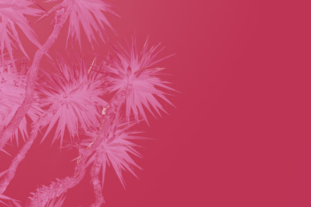 Date palm tree close up with sunlight seen through the leaves. Beautiful nature bakground. Color of the year 2023 inspired.Summer concept toned in color of the year viva magenta. abstract photoの写真素材