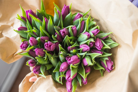 Hands wrapping purple tulips bouquet in craft paper , happy mothers day,valentines gift. Greeting card with tulips. Spring flowers in eco paper. beautiful and eco frendly.Mothers dayの写真素材