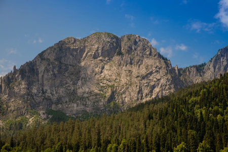 sunlit green mountain valley with forest against mountain range under cloudy sky. Wide mountain...
