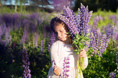 Girl with a bouquet in the hands.portrait of cute little happy seven year old kid girl with bloom flowers lupines in field of purple flowers. Child in nature concept. Summer vacation holidaysの写真素材