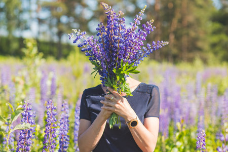woman in a dark blue dress holds a bouquet of purple lupine in her hands. Blur and selective focus. Summer concept.Beautiful woman in a dress covers her face with a purple bouquetの写真素材