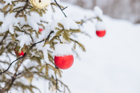 red christmas baubles hang on snowy fir branches outdoor. festive street decor. Christmas postcard with red ball on snowy Spruce branch. copy spaceの写真素材