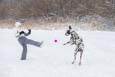 Young girl portrait in pink hat playing active game with her dog golden retriever in winter seasonの写真素材