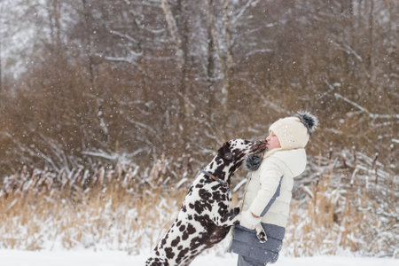 Young girl portrait in pink hat playing active game with her dog golden retriever in winter seasonの写真素材