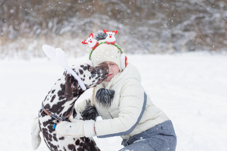 Girl wearing winter warm coat, hat and Christmas headband has fun with dalmatian dog outdoor. new year card, girl walking with dog in winter forest. funny childhood.の写真素材