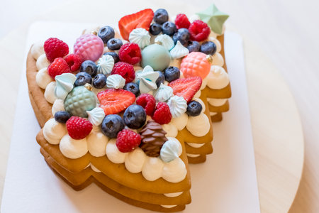 Traditional Christmas cottage cheese cake. Decorated with fir branches and chocolate decorations.Christmas or New Year dessert.Christmas sweet giftの写真素材