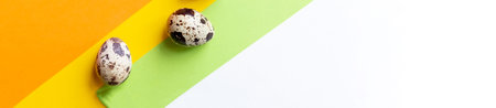 Creative layout with Fresh organic quail egg on bright yellow background. Quail eggs pattern. Happy...