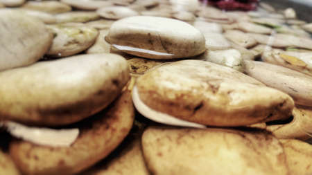 A collection of dirty white stones soaked in a container filled with waterの写真素材