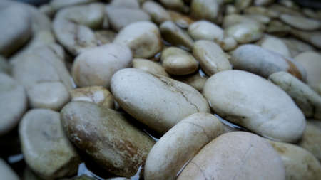 A collection of dirty white stones soaked in a container filled with waterの写真素材