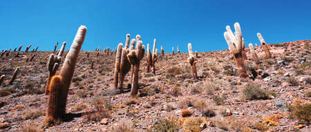 Natural Views, Beautiful Scenery for South Americaの写真素材