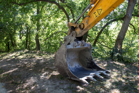 Part of the excavator in the country. Intense sunlight, green trees in the background.の写真素材