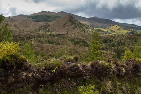 Fresh green nature at the Sao Miguel Island, one of the Azores Islands. Rainy clouds. Mountains in the background.の写真素材