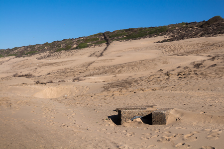 Golden sand dunes on the coast of the Atlantic ocean. Beach in the north of Essaouira, Morocco. Bright blue autumn sky.の写真素材