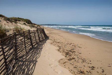 Light clean sand on the dunes lining the coast with a beach. Various plants and bushes. Mediterranean sea with waves. Blue sky. North of Sardinia (Spiaggia Quarto Pettine), Italy.の写真素材