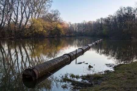 Morning in the early spring season at a Little Danube river, creating lakes, surrounded by high old trees, with small leaves. Old pipe in the water. Malinovo, Slovakia.の写真素材