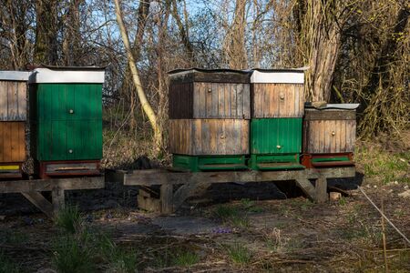 Colorful hives in a forest in an early spring, surrounded by trees, which have no leaves as yet. Blue sky. Most pri Bratislave, Slovakia.の写真素材