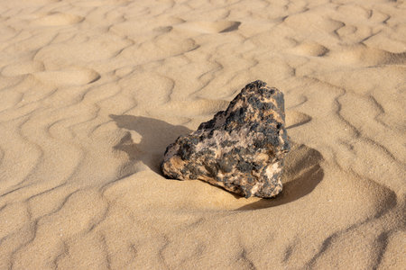 Texture of the sand in a unique european desert. Wavy surface made by wind. Interesting shape of a desert stone. Parque Natural Dunas de Corralejo, Fuerteventura, Canary Islands, Spain.の写真素材