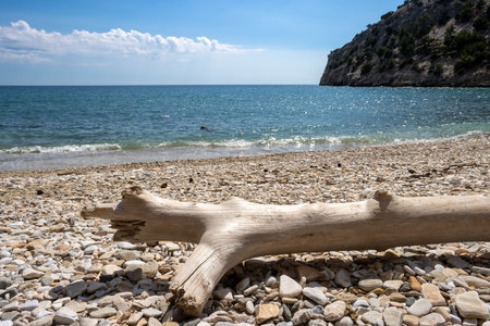 Sandy beach and calm water of Thracian sea (Mediterranean). Rock covered by vegetation.  Pile of collected driftwoood. Blue sky with white clouds. Livadi beach, island Thassos (Tassos), Greece.の写真素材
