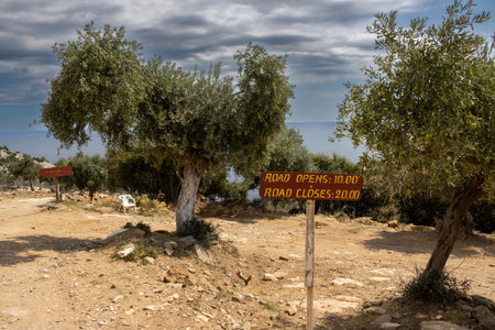 Olive trees in a big garden on a hill. Information about opening hours of the road on a wooden board. Cloudy sky in the autumn. Giola lagoon, Tassos (Thassos) island, Greece.の写真素材
