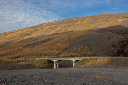 Bridge beside a big mountain, covered by dry trees. Dry river bed. Blue sky with white clouds. Area of Siduvegur, North-West Iceland.の写真素材