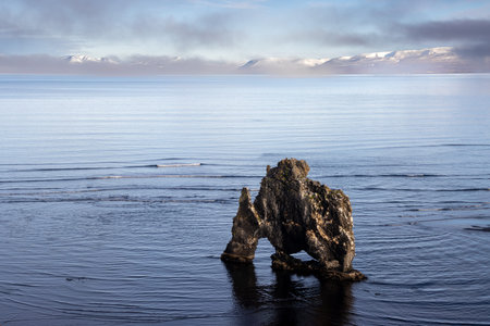 Natural statue close to the coast of the island. Drinking animal, can be dragon or elephant. Calm water of Atlantic ocean. Cloudy sky in the autumn. Hvitserkur, North Iceland.の写真素材