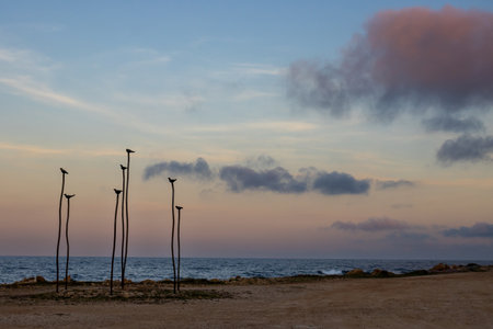Calm water of Mediterranean sea. Sand and rocks on the coast. Orange and blue sky at the sunrise. Darker blue clouds. Decoration: seven sticks with birds on it. Spiaggia Sibiliana, Marsala, Sicily.の写真素材