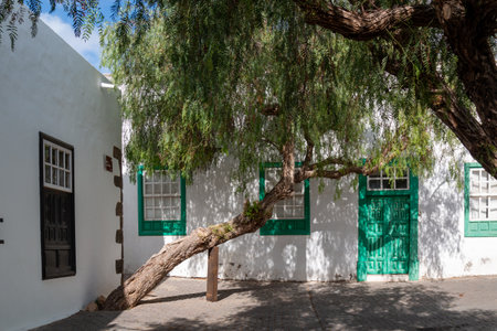 White architecture, typical for the island. Green doors and windows. Respect to the nature, old trees between the buildings. Blue sky with white clouds. Teguise, Lanzarote, Canary Islands, Spain.の写真素材