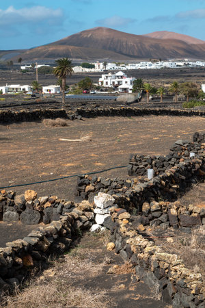 Landscape with a dark volcanic soil, where are planted winegrapes. Traditional white buildings. Mountain in the background. Blue sky with white clouds in the winter. La Florida, Lanzarote, Spain.の写真素材