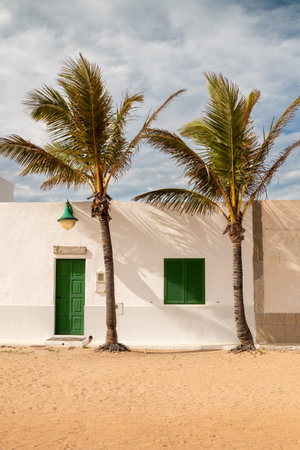 Sandy street on the coast of the Atlantic ocean. House with white facade. Palm trees growing...