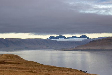 Yellow color of the autumn grass. Calm water in a fjord. Mountains with a fog in the background. Cloudy sky during sunset. Akrafjall, Iceland.の写真素材