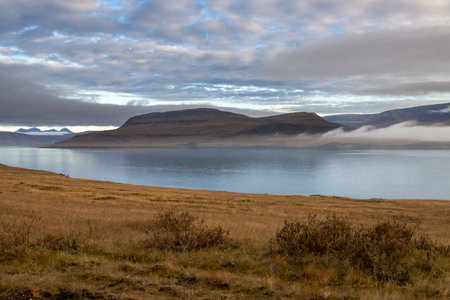 Yellow color of the autumn grass. Calm water in a fjord. Mountains with a fog in the background. Cloudy sky during sunset. Akrafjall, Iceland.の写真素材