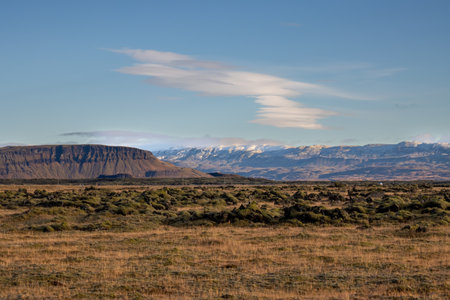 Land covered by moss and lichen. Volcanic rock with a structured shape on the top. Beautiful sunny day in the autumn.. South Iceland, close to Kalfafell.の写真素材