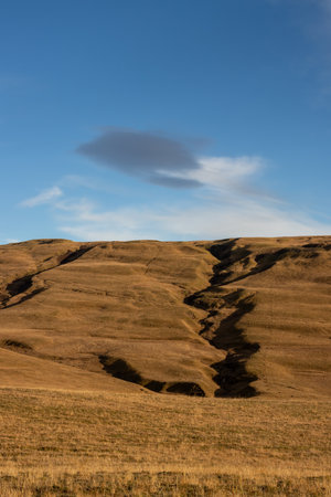 Mountains covered by moss, grass and lichen. Beautiful sunny day in the autumn, highliting the color of the golden grass. Area of river Fjadra, South Iceland, close to KirkjubÃ¦jarklaustur.の写真素材