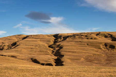 Mountains covered by moss, grass and lichen. Beautiful sunny day in the autumn, highliting the color of the golden grass. Area of river Fjadra, South Iceland, close to KirkjubÃ¦jarklaustur.の写真素材