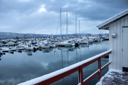 Harbor for yachts with many boats, moored there in the winter weather in the late autumn. Day with snowfall. Narvik, Norway.の写真素材