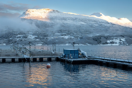 Water of a fjord (Norwegian sea) with a pier. Mountains with snow in the background, partly covered...