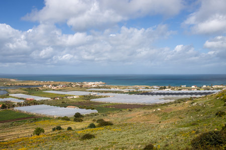 Agricultural part of the mediterranean sea with many glasshouses. Water of the sea in the background. Blue sky with white clouds in the spring. Torrefano, Sicily, Italy.の写真素材