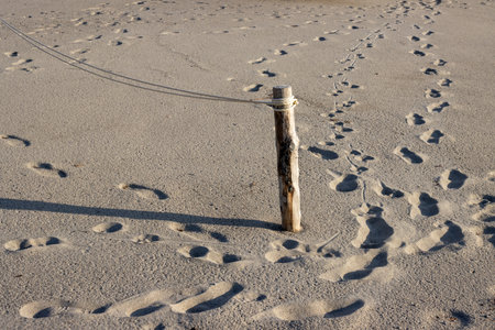 Sand of a beach with older footprints and a stick with rope, as a part of a fence. Evening sunlight. Villafranca, Sicily, Italy.の写真素材